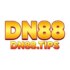 dn88tips